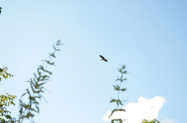 Сергей Козырев