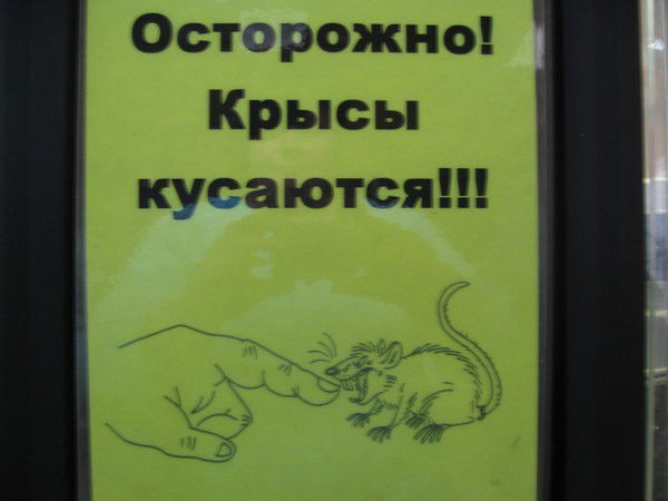 Василиса Ковалева