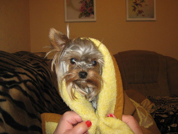 Vvvvvvvvvv Vvvvvvvvvv