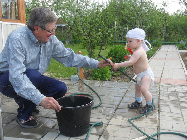 Владимир Дорошин