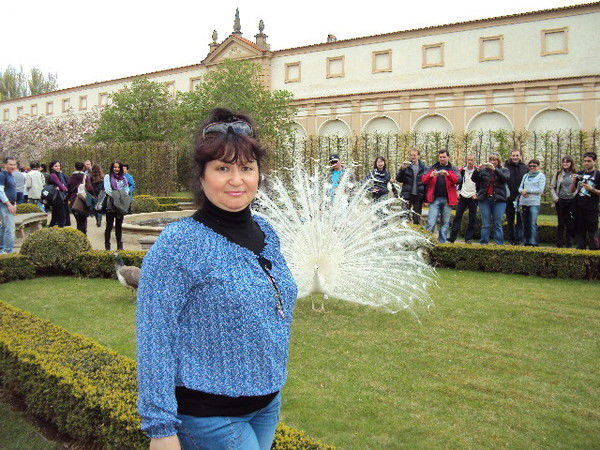 Наталья Рыбалко