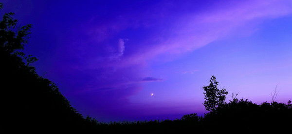 Александра Никифорова