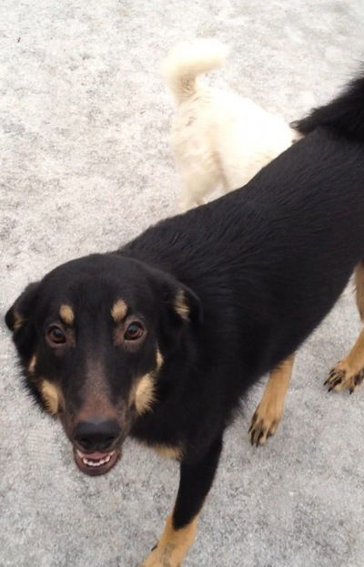 Татьяна Кузьмина