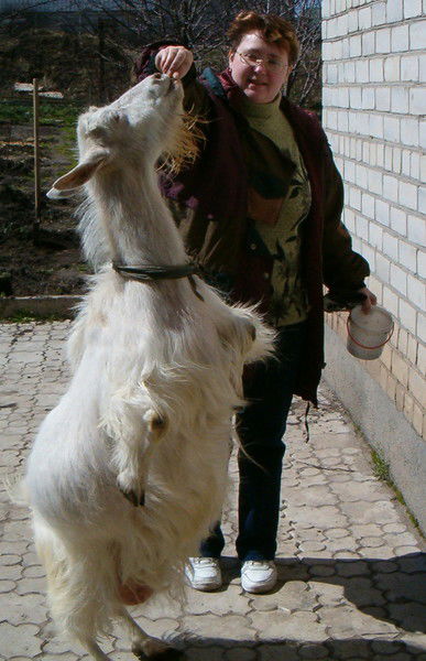 Танча Петренко