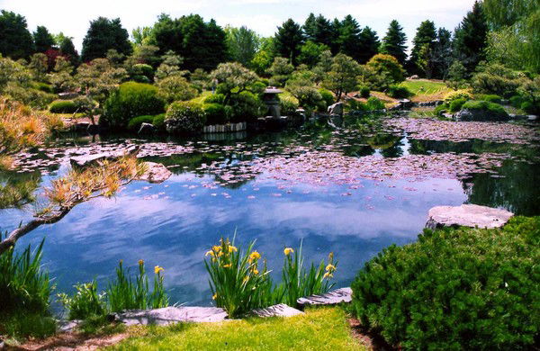 Влад Сергеев