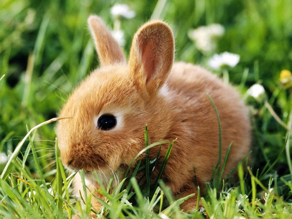 Александр Ходаковский