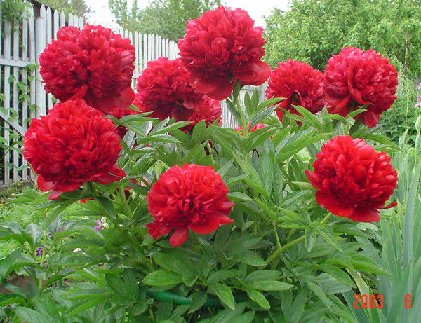 Стат Кабинет Гп №8