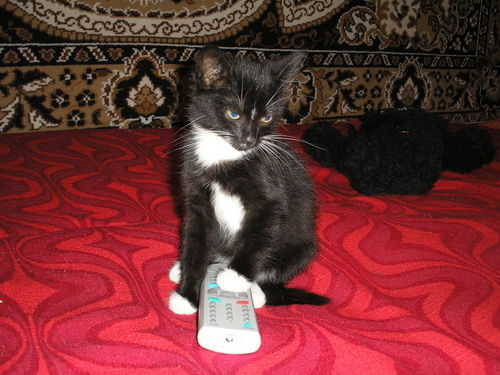 Виталий Назаренко