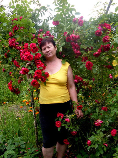 Светлана Худолеева