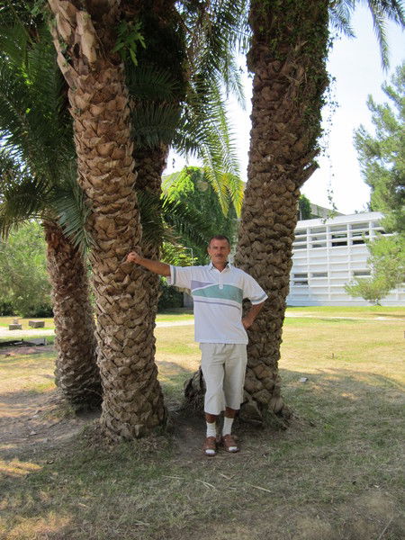 Сергей Елин