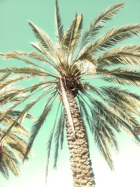 Евгения Моисеенко