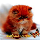 Татьяна Матвеева