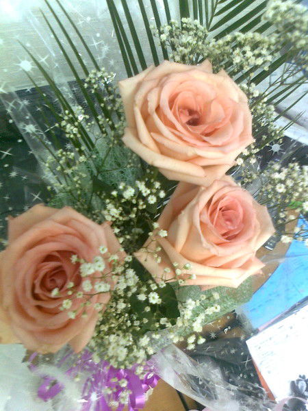 Суздальцева Людмила