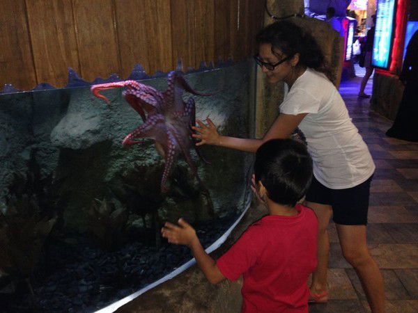 Асель Аселевская