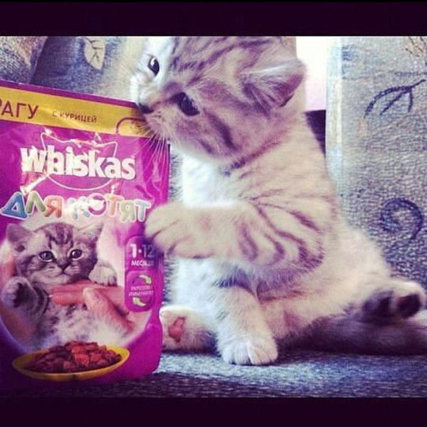 Бораганова А.