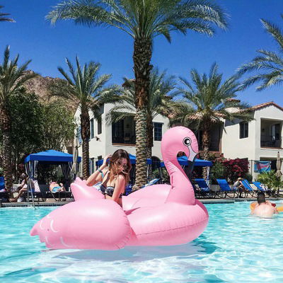 Поліна Дударенко