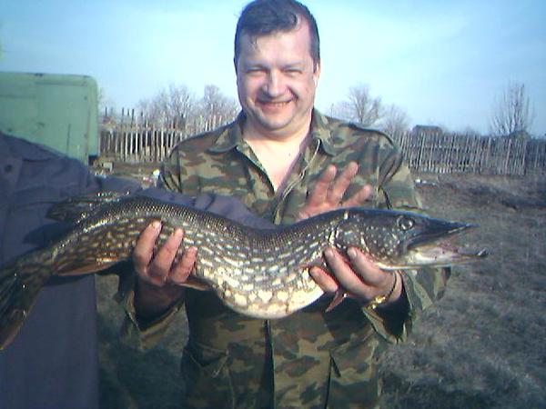 Олег Новиков