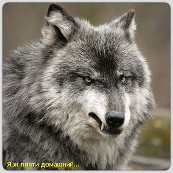 Никита Суханов