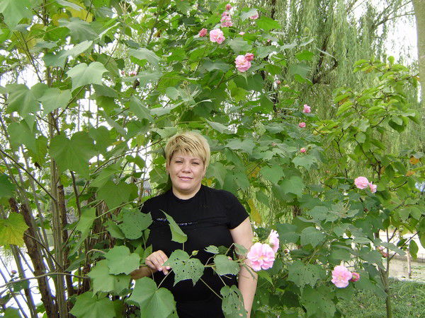 Елена Бородина