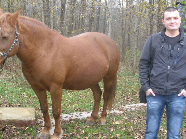 Константин Архипов