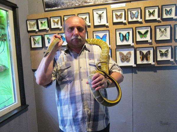 Николай Бирюков