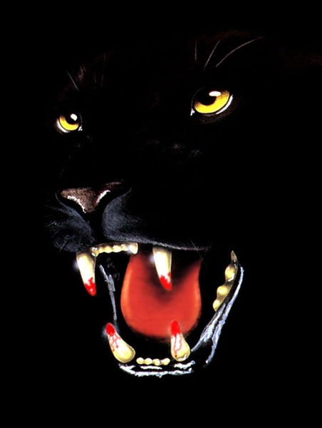 Олег Мистюков