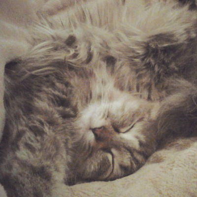 Татьяна Пискунова