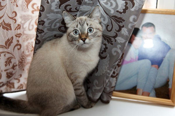 Елена И Андрей Пудовиковы