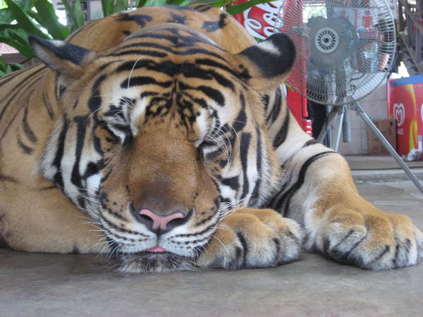 Геннадий Мошкин