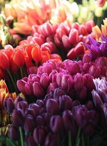 Кульжиян Айткожина