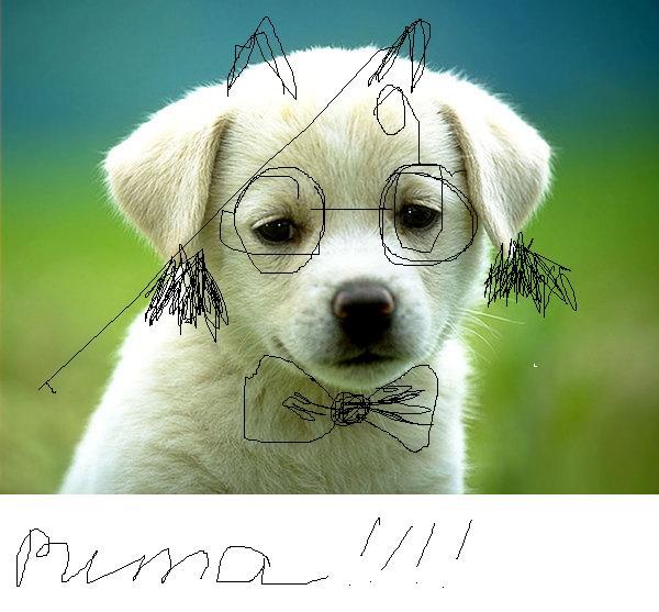 Неизвестно Неизвестно