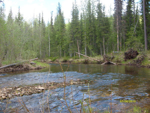 Владимир Демьяненко