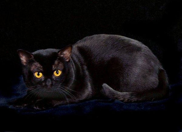 Людмила Сорока