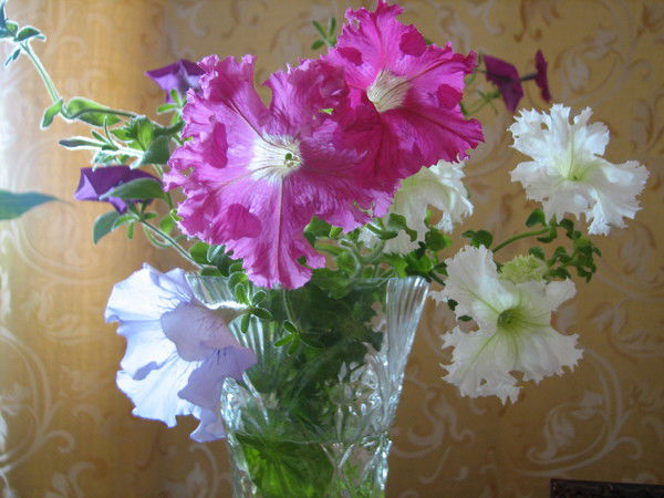 Людмила Рыбина