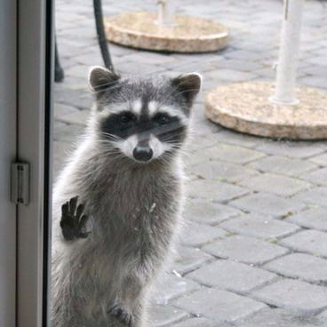 Влад Туриков