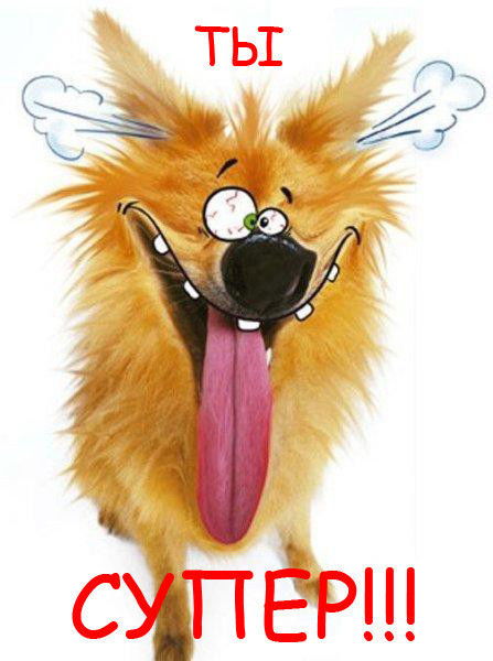 Илона Кусакина