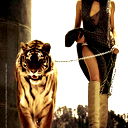 Kitty Kitty