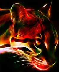 Мария Мария