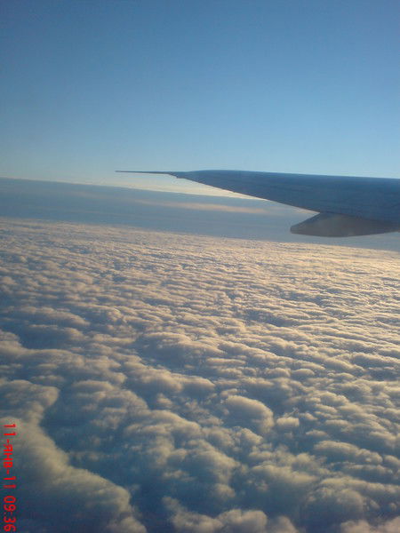 Илья Васильевич