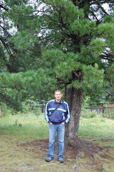 Евгений Дементьев