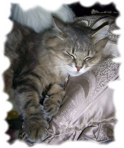 Екатерина Шумова