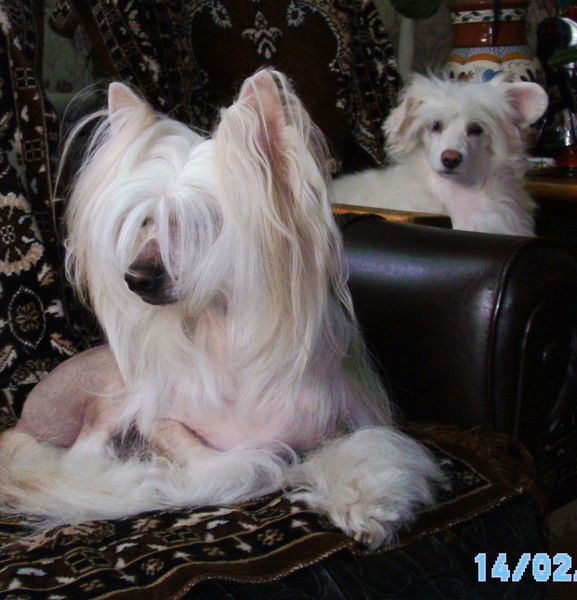 Наташа Анненкова