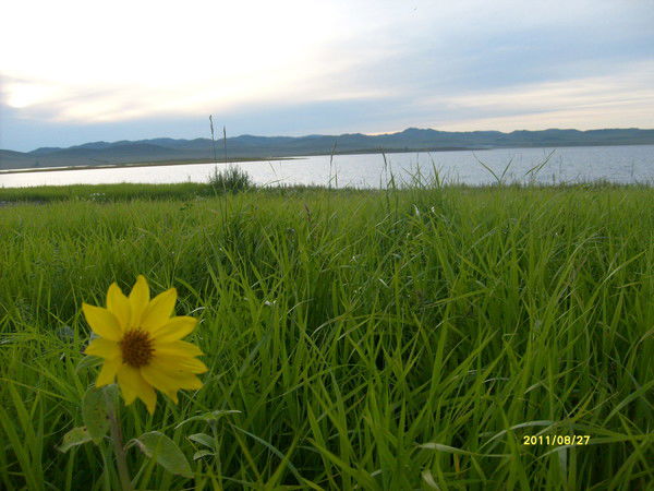 Мария Таскаракова