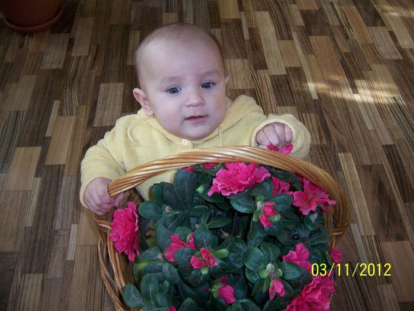 Светлана Бисерова