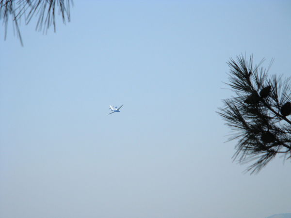 Неизвестно Неизвестно