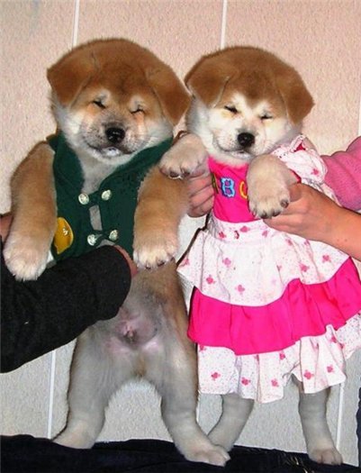 Эльмира Темирова