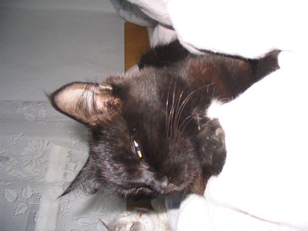 Михаил Кириченко