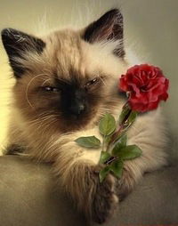 Агния Бусова