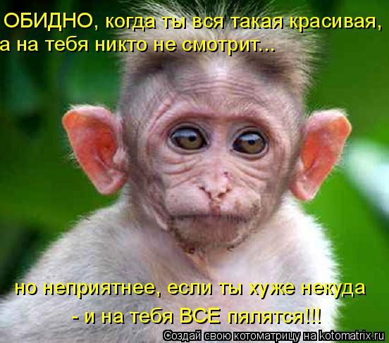 * И Р И Н А * *