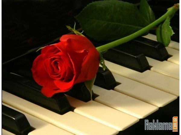 Наталья Филиппова